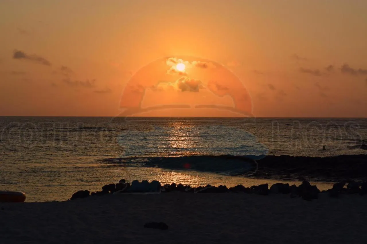 Cotillo Lagos Appartement
